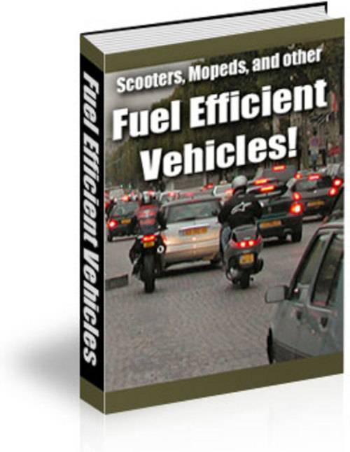 Product picture Fuel Efficient Vehicles - New ebook with PLR