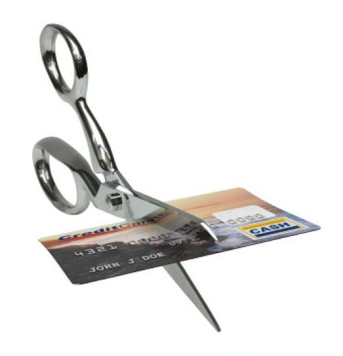 Product picture Debt Articles with  PLR